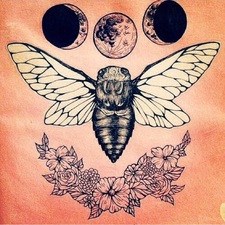 Cherish Walker-Smith