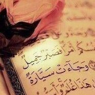 Bentabood Albuggdady