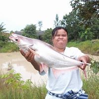 พรทิพย์ ดิษฐเกษร