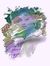 Anil Abd