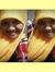 Hanin R...