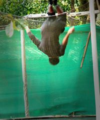 ಅರುಣ್ ಬೆಂಗಳೂರು