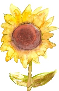 Huda