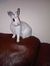Chester LeBunbun