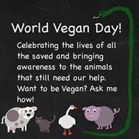 Melaina Squicciarini 