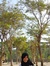 Ardiaa ...