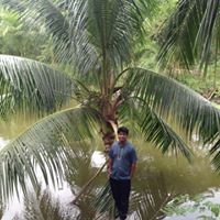 Lokash Gabil