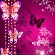 Aiman Shahid