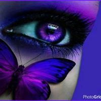 Robin Corcoran Harbin