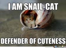 Quintan Gerhardstein