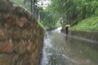 Г. Батчимэг