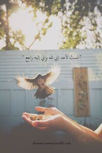 Esraa Kasem