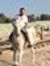 Amjad A...