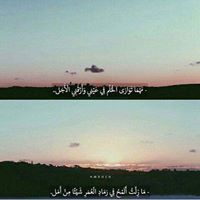 الآء الشافعي