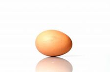 eggdropsoap