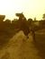 Jagveer...