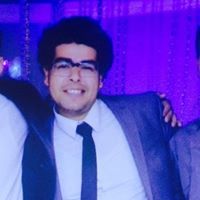 Mohamed Hafez