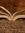 reading.for.eternities