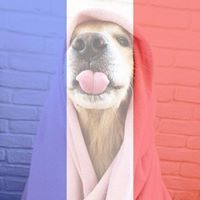 Цветелина Ина