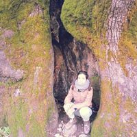 Στέλλα Μπαλτζάκη