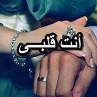 العربي حبيب الكل