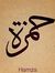 Hamza A...