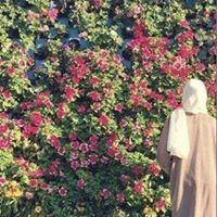 Нибал Майта