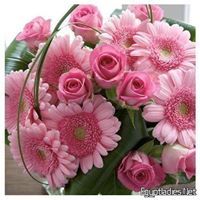 نعيمة عثمان