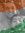 Salil S...