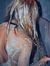 Tamsin