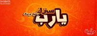 محمد عبدالفتاح