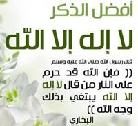 Sameh Mostafa