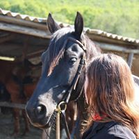 Дина Максимова