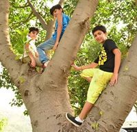 Noah Bangash