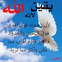 وجدي الخلفى