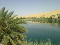 عمر ابراهيم