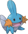 Mudkip Lover