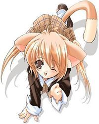 Анастасия Чехонина