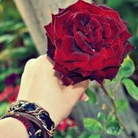 بتلآت تآئهه