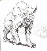 Anuj Mation