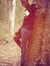 Ruud B