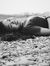Hanna C...