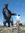 Fabian Lizondo | 13 comments