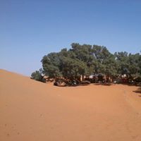 Rajaa Boulassad