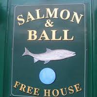 Matt Salmon