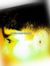 Talha A...