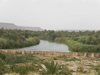 Mohamed Etaibi