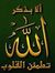 Jawad Zaki
