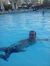 Fady Karam