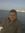 Ashraf ...